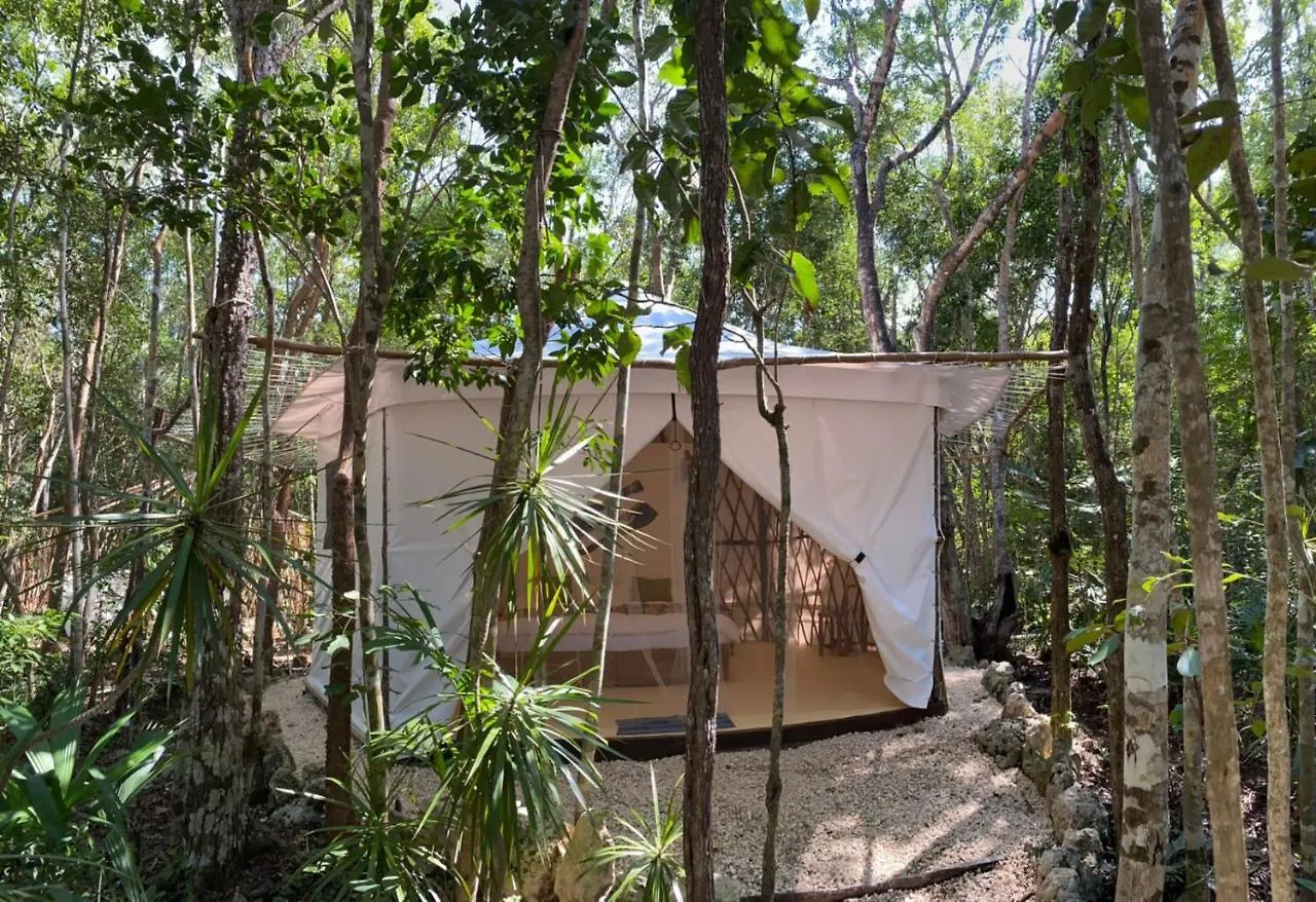 Kuha Glamping contacts