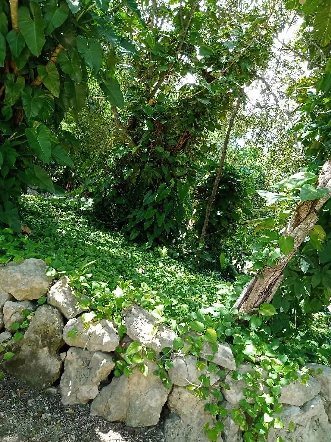 Kuha Glamping Hotel Playa del Carmen 0*,