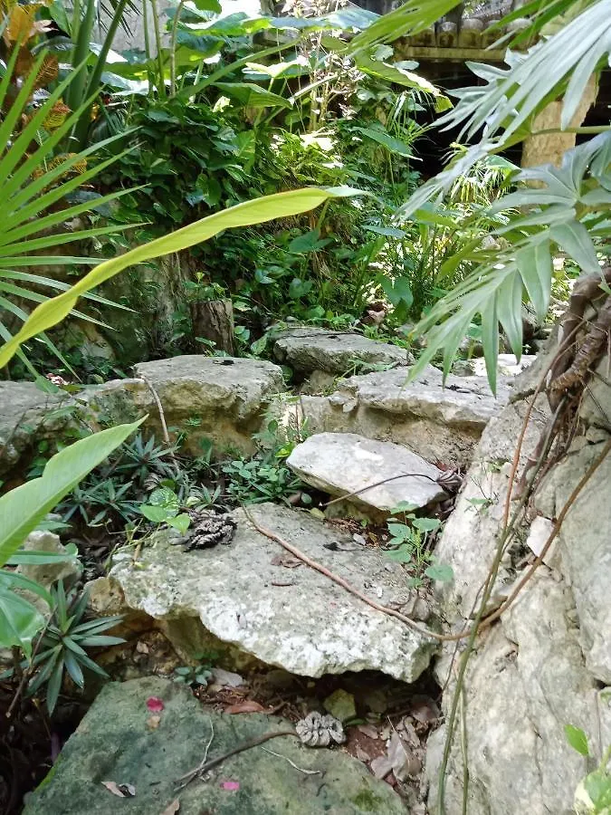Campsite Kuha Glamping Hotel Playa del Carmen