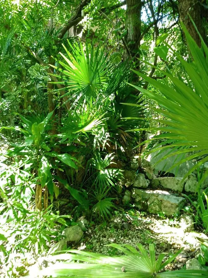 Kuha Glamping Hotel Playa del Carmen 0*,  Mexico