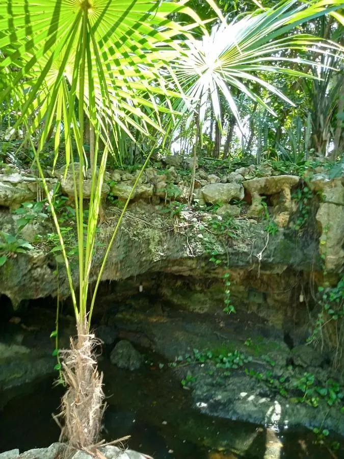 Kuha Glamping Hotel Playa del Carmen