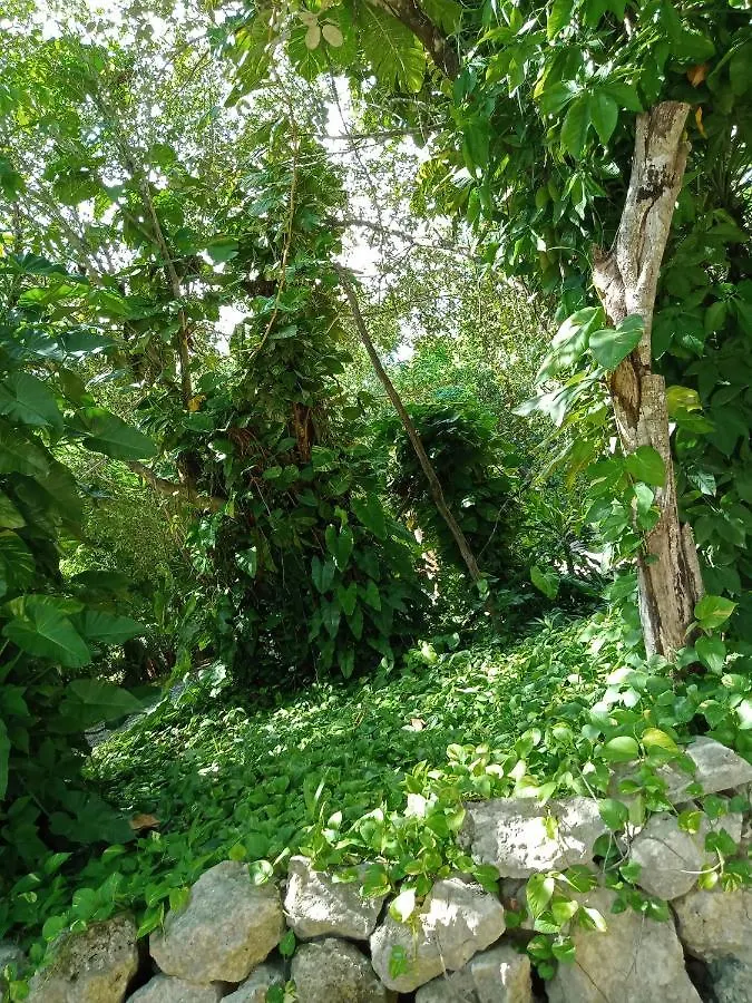 Kuha Glamping Hotel Playa del Carmen