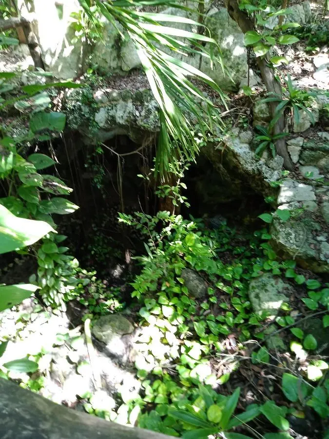 Kuha Glamping Hotel Playa del Carmen
