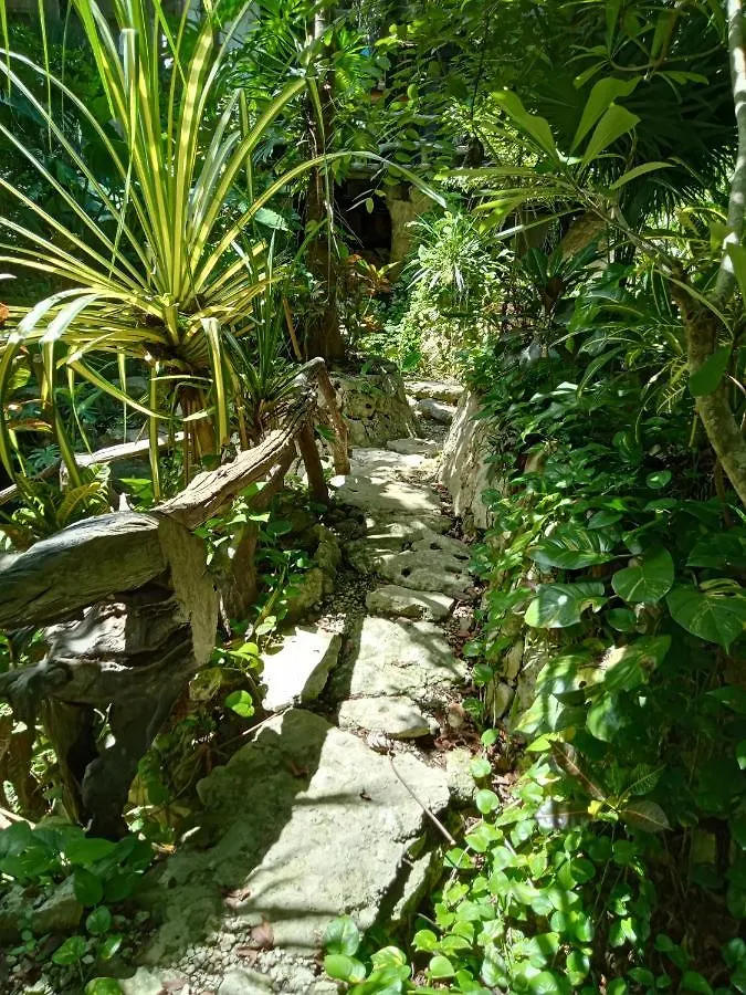 Campsite Kuha Glamping Hotel Playa del Carmen