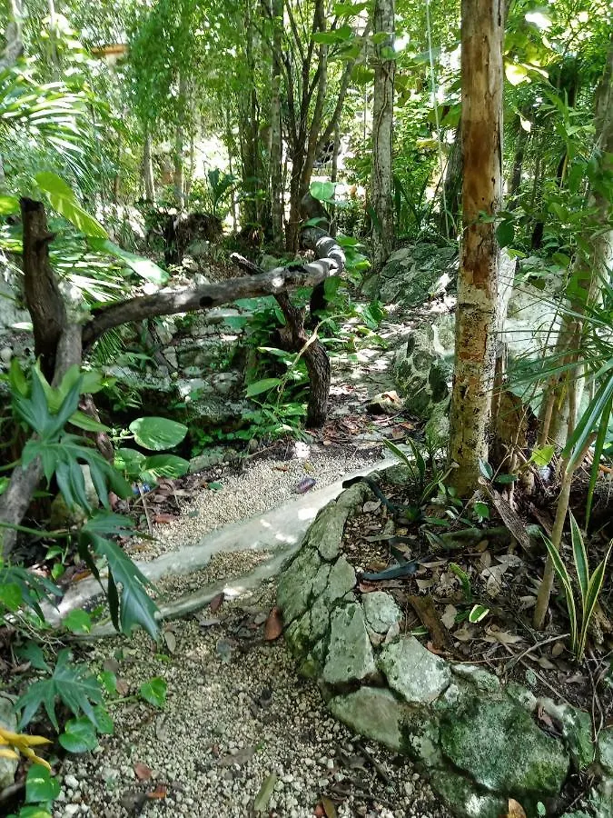 Kuha Glamping Hotel Playa del Carmen