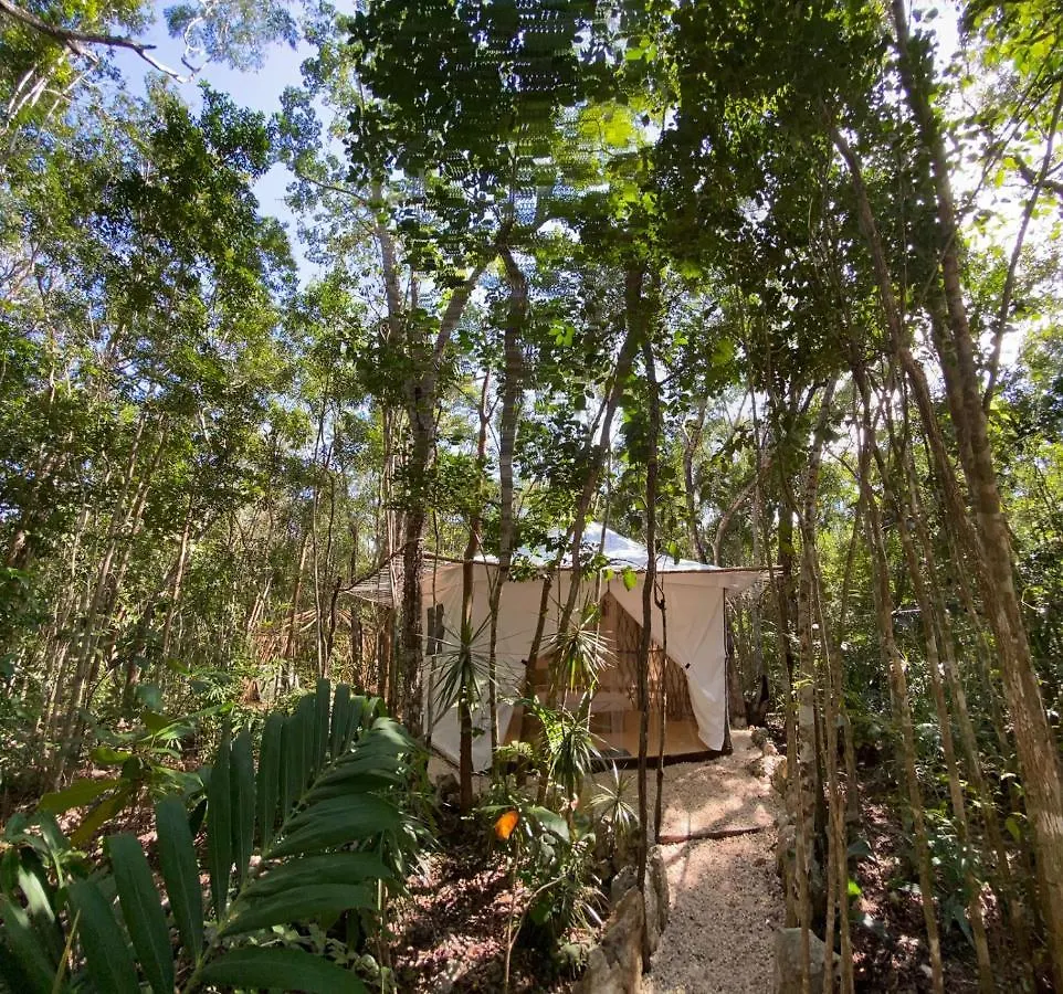 Hôtel Kuha Glamping à Playa del Carmen Mexique
