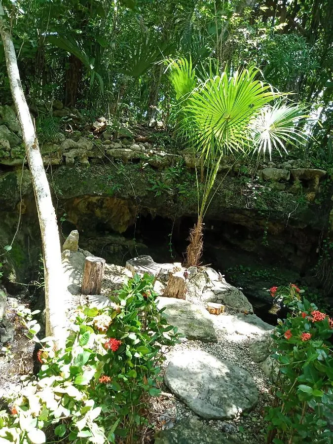 Hôtel Kuha Glamping à Playa del Carmen 0*,  Mexique
