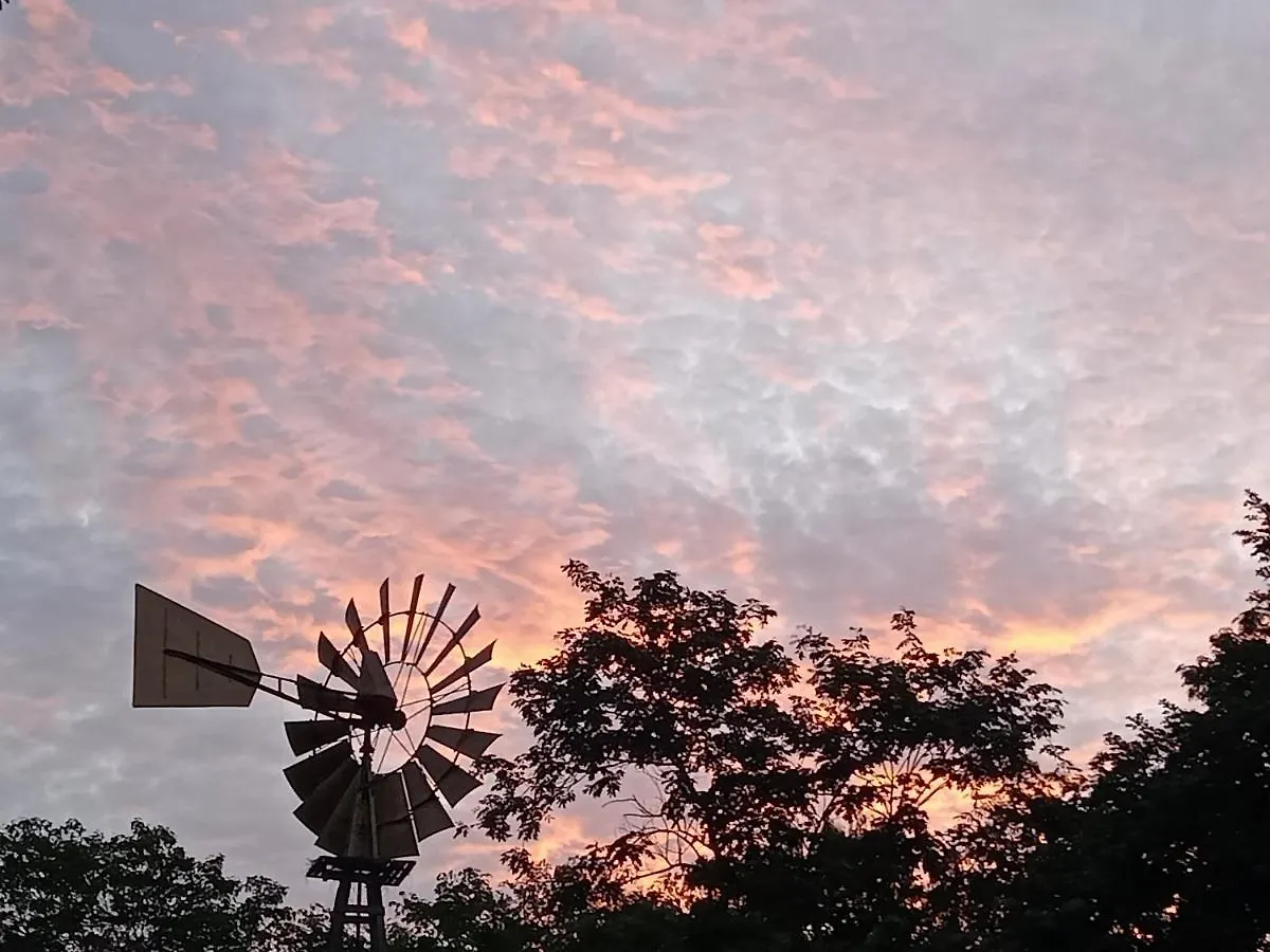Hôtel Kuha Glamping à Playa del Carmen Mexique