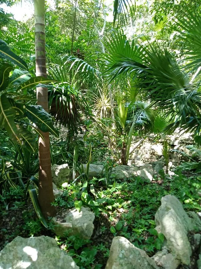 Hôtel Kuha Glamping à Playa del Carmen Camping